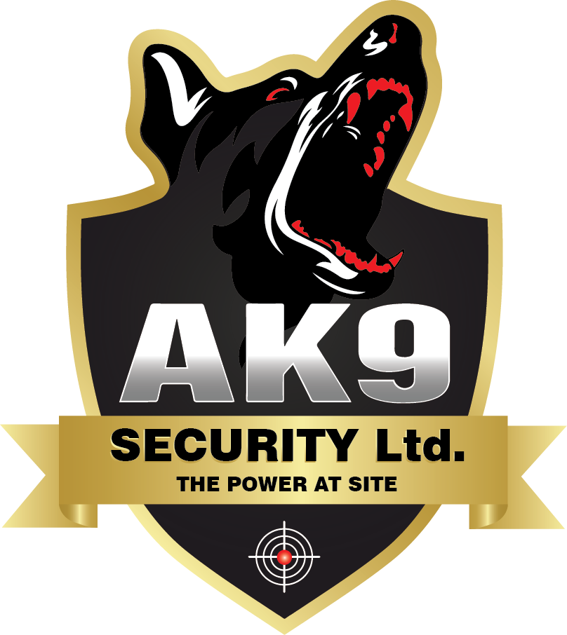 Ak9 Logo